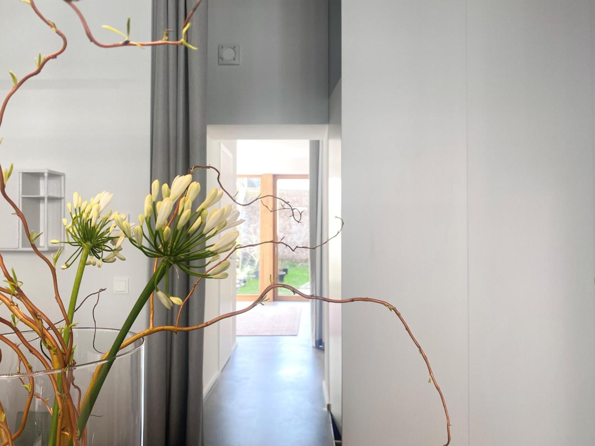 Zehuus Gartenstudio Mit Terrasse Appartement Keulen